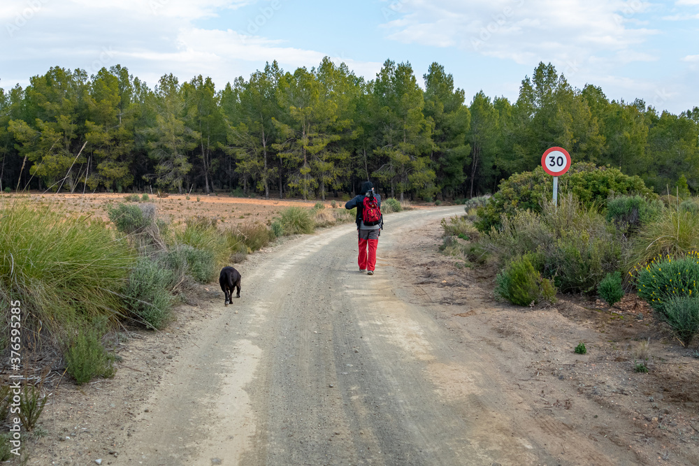 Hiker man walks with his dog in pine forest in the region of Murcia. Spain