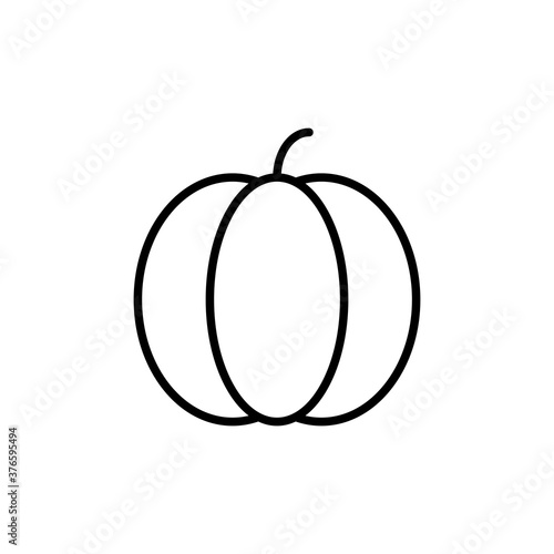 Autumn, fruit, pumpkin icon for your web design