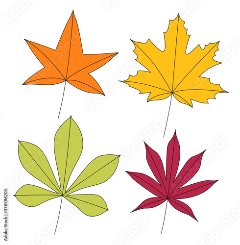 Leaves isolated on white background. Different autumn colors. Vector illustration.