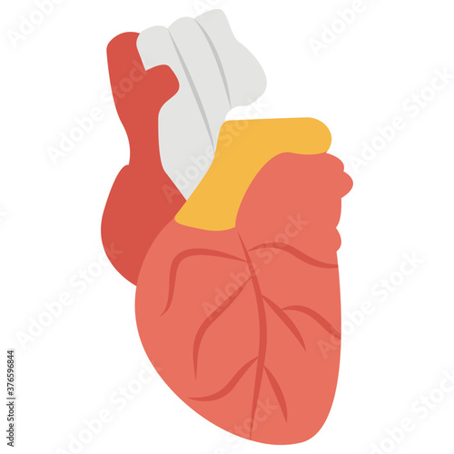 Heart 