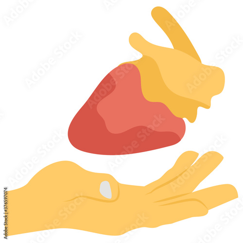 Donor Heart