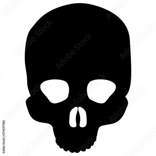 Human Skull