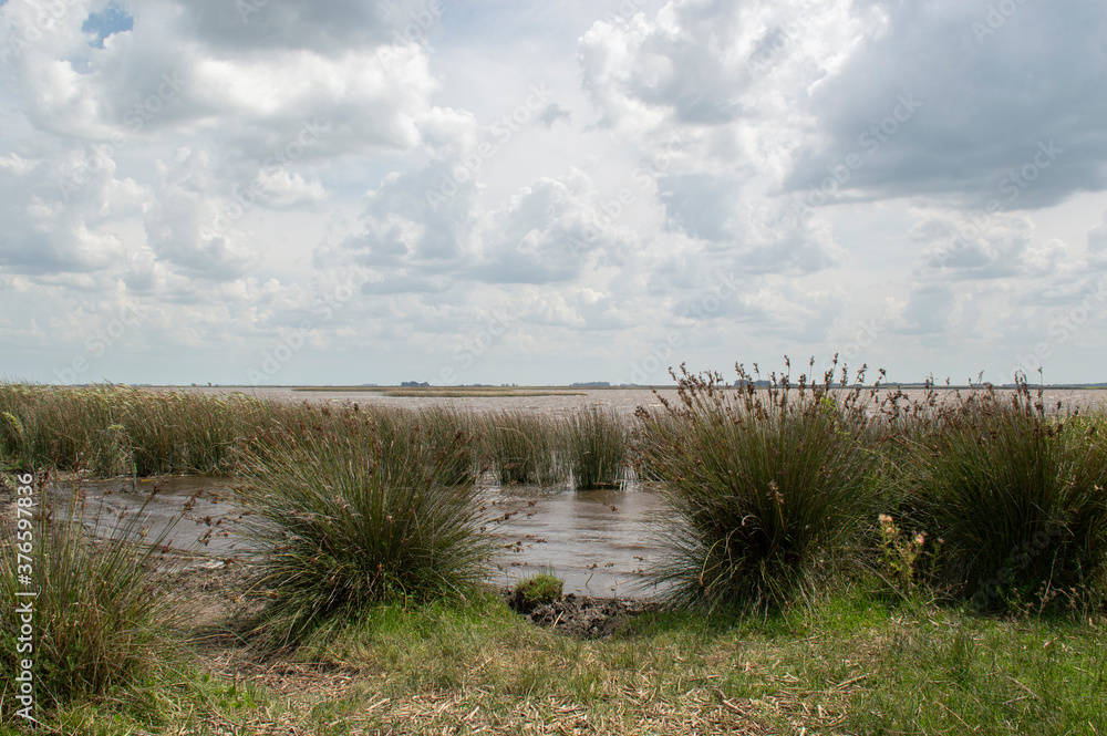 Grasslands in the lagoon and cloudy sky