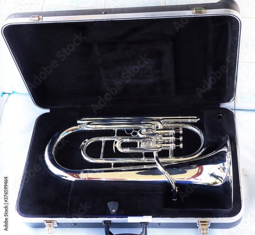 Canvas Print Euphonium instrument