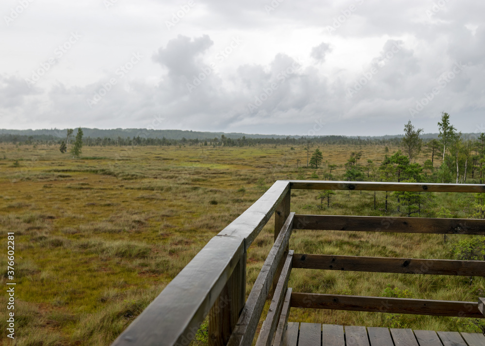 traditional bog landscape with wet trees, grass and bog moss in the rain, wooden lookout tower in the bog, foggy and rainy background traditional bog landscape with wet trees, grass and bog moss in the rain, wooden lookout tower in the bog, foggy and rainy background