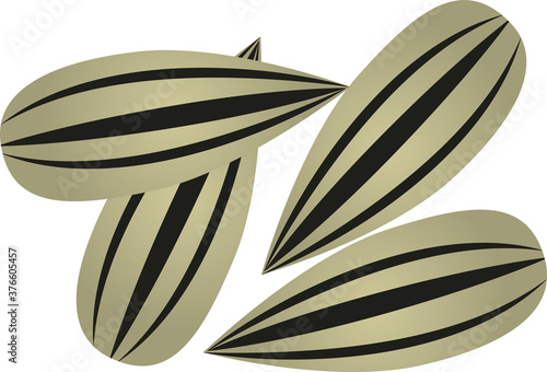 縞模様のシンプルなひまわりの種のイラスト