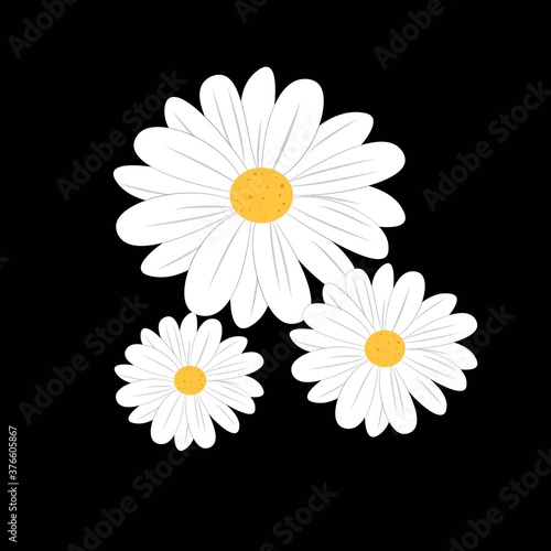 Daisy flower cartoon vector illustration