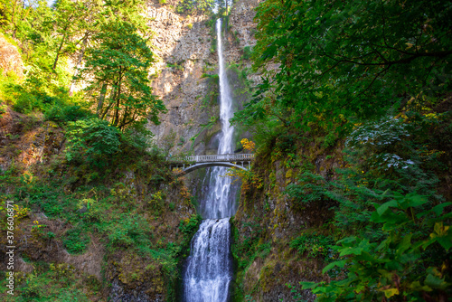 waterfall on the forest