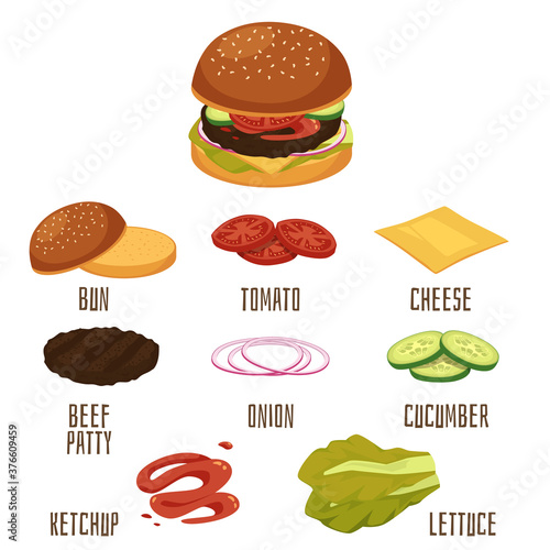 Vector flat isolated illustration of a burger with ingredients for cooking it