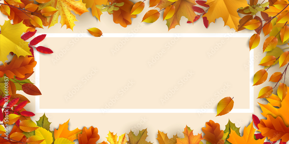 Greetings and gifts for the autumn and autumn season concept. Autumn background, poster and banner template with colorful autumn leaves. Greetings and gifts for the autumn and autumn season concept. Autumn background, poster and banner template with colorful autumn leaves.