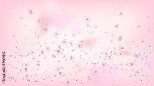 Nice Sakura Blossom Isolated Vector. Pastel Falling 3d Petals Wedding Border. Japanese Beauty Spa Flowers Illustration. Valentine  Mother s Day Spring Nice Sakura Blossom Isolated on Rose