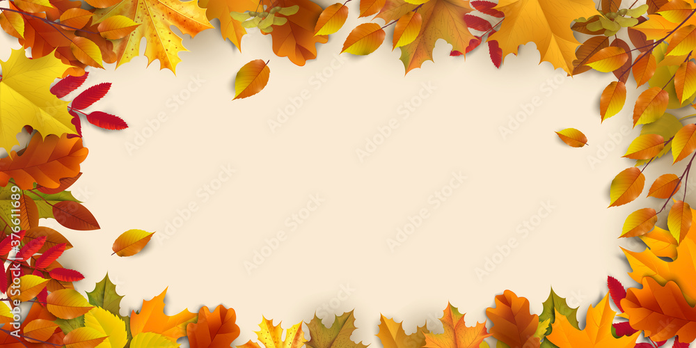 Greetings and gifts for the autumn and autumn season concept. Autumn background, poster and banner template with colorful autumn leaves. Greetings and gifts for the autumn and autumn season concept. Autumn background, poster and banner template with colorful autumn leaves.