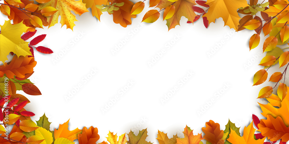 Greetings and gifts for the autumn and autumn season concept. Autumn background, poster and banner template with colorful autumn leaves. Greetings and gifts for the autumn and autumn season concept. Autumn background, poster and banner template with colorful autumn leaves.