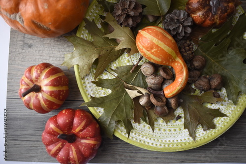 Autumn Background With Pumpkins, Fallen Maple Leaf, Nuts On Wooden Background. Concept Of Thanksgiving Day Background, Halloween Background, Fall Harvest
