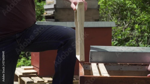 Bienenstock umsetzen mit Königin Rähmchen Bienenvolk