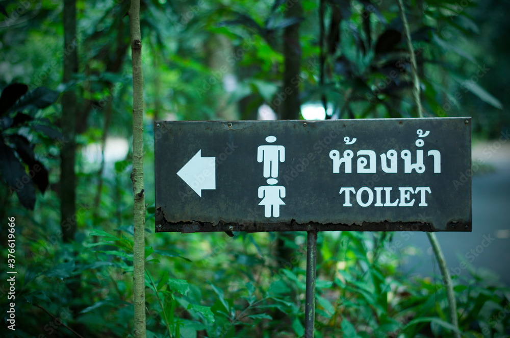 Wooden toilet sign in the garden pavement. Wooden toilet sign in the garden pavement.