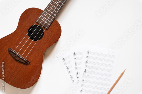 Ukulele with blank stave pad bar for music notes isolated on white background. Top view.