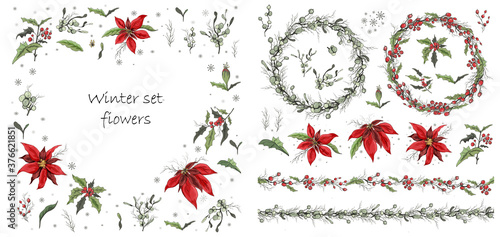 Set of winter flowers, branches and leaves. hand-drawn Botanical doodling in a realistic style. seamless garland with seasonal elements For your ideas, paper greeting cards,  advertising.