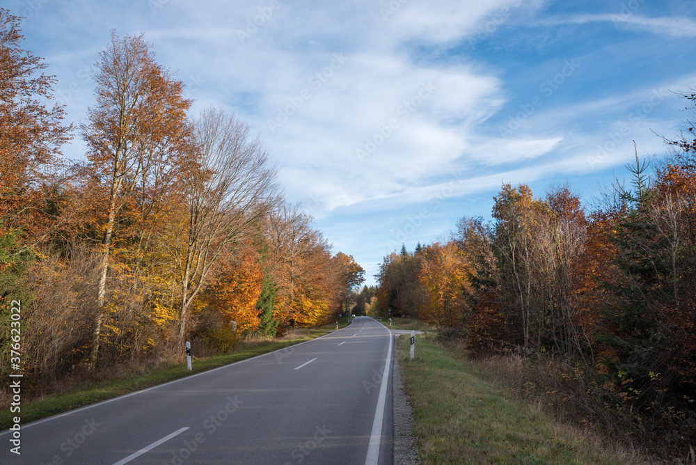 Fototapeta premium country road through autumnal forest
