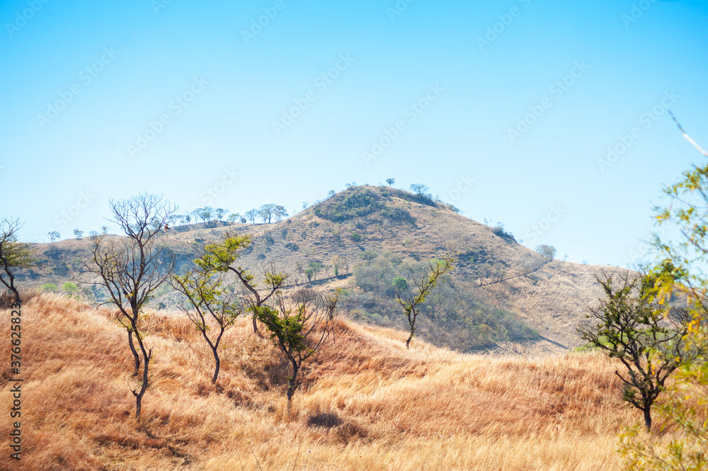 Dry grass in the hills of Metapan, Santa Ana el Salvador