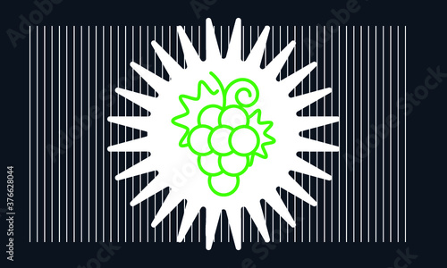 grape icon vector