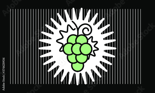 grape icon vector