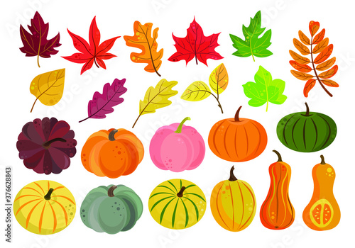 Autumn vector set of colorful pumpkins and leaves in a flat style. Pumpkins and foliage are red, yellow, green and orange isolated on a white background. Perfect for autumn cards, Halloween
