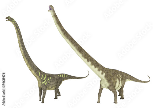 Fototapeta Naklejka Na Ścianę i Meble -  Dinosaurier Mamenchisaurus, Freisteller