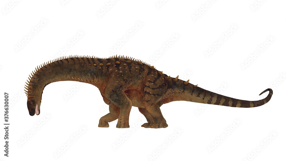 Fototapeta premium Alamosaurus dinosaur head down eating isolated in white background - 3D render