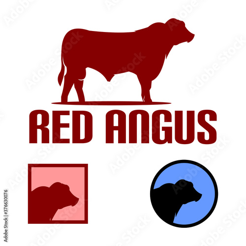 red angus bull vector logotype