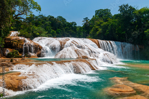 waterfall in the forest