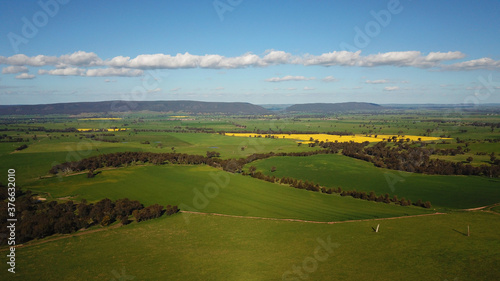 Aerial View of Canola Fields in NSW