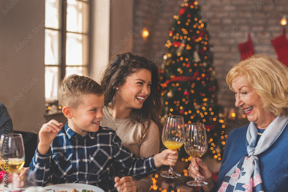 Grandson and grandmother making a toast over Christmas dinner Grandson and grandmother making a toast over Christmas dinner