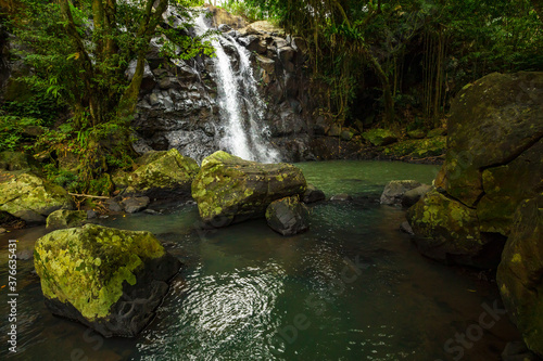 Waterfall landscape. Beautiful hidden waterfall in tropical rainforest. Nature background. Fast shutter speed. Sing Sing Angin waterfall  Bali  Indonesia