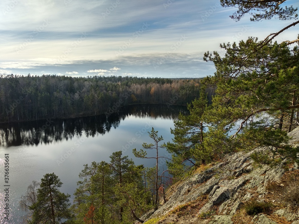 Obraz premium lake in the forest