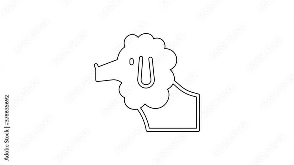 Black line French poodle dog icon isolated on white background. 4K Video motion graphic animation. Black line French poodle dog icon isolated on white background. 4K Video motion graphic animation.