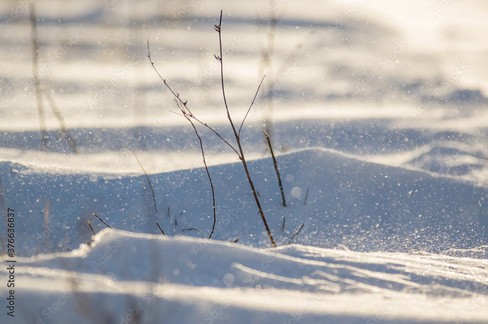 Krajobraz kompozycja zimowa sceneria śnieżny puch - obrazy, fototapety, plakaty 