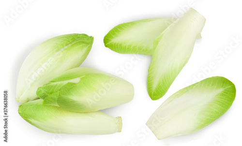 Chicory salad isolated on white background with clipping path and full depth of field. Top view. Flat lay