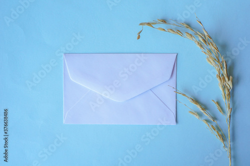 white envelope with dried grass for greeting mockup seasonal concepts on blue background