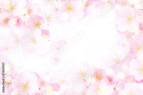 春キラキラ桜のフレーム背景テクスチャ