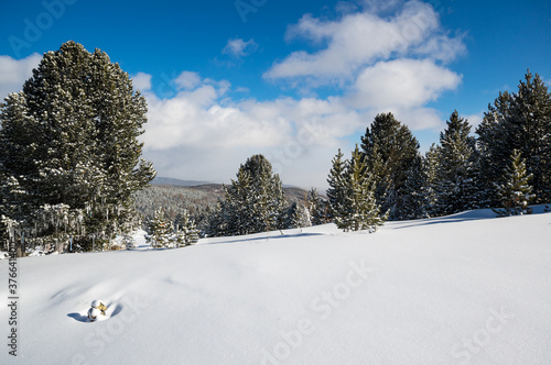 View of Ulagan Highlands photo