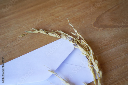 white envelope with dried grass for greeting mockup seasonal concepts on wooden background