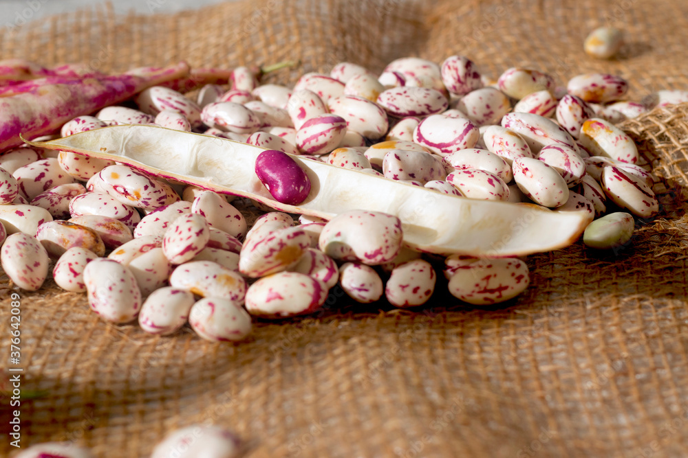Cranberry beans in open shells on natural jute background, pile of clean beans at backstage