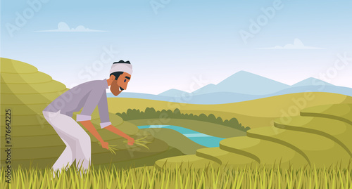 Indian agriculture landscape. Farmer working in indian rice fields rural worker vector cartoon background. Illustration indian agricultural, plantation landscape