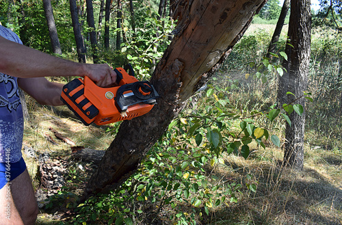 A man cuts down a dry tree with a battery-powered electric saw.