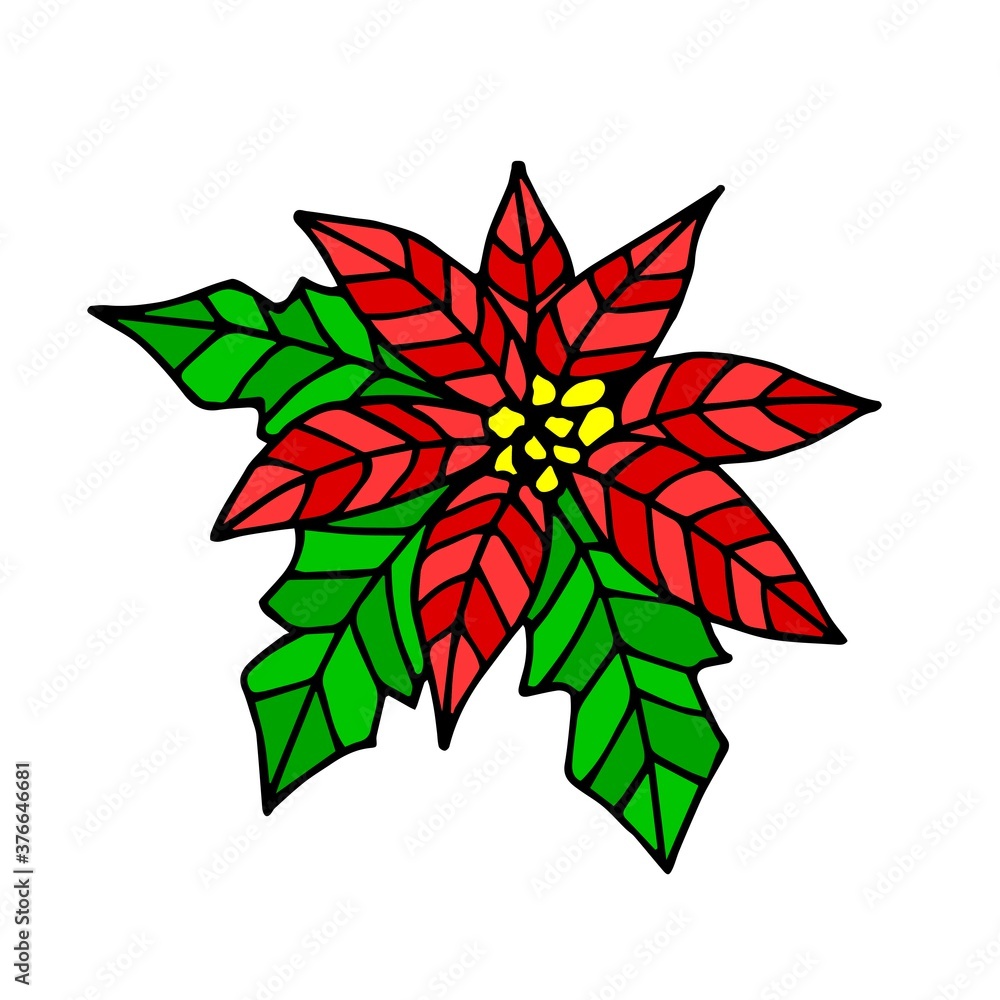 Traditional Christmas poinsettia flower, red petals, green leaves. For prints, postcards, New Year's design. Hand-drawn vector drawing. Traditional Christmas poinsettia flower, red petals, green leaves. For prints, postcards, New Year's design. Hand-drawn vector drawing.