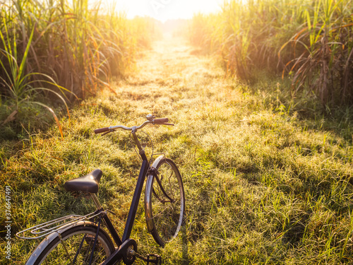 Bicycle on Field landscape Outdoor park Morning sunrise leisure lifestyle