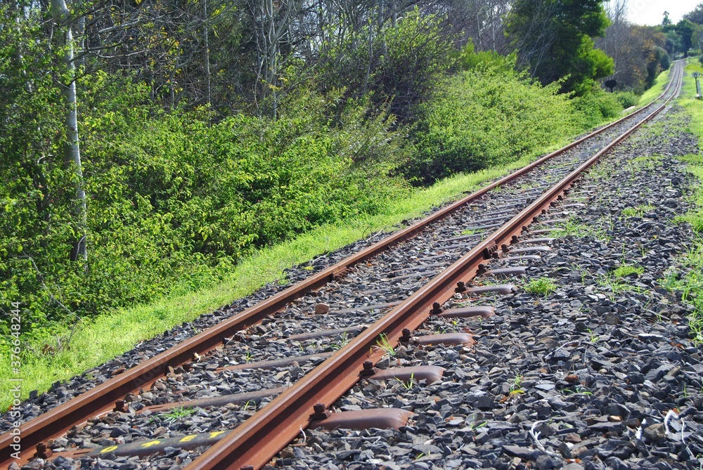 Fototapeta premium Train tracks