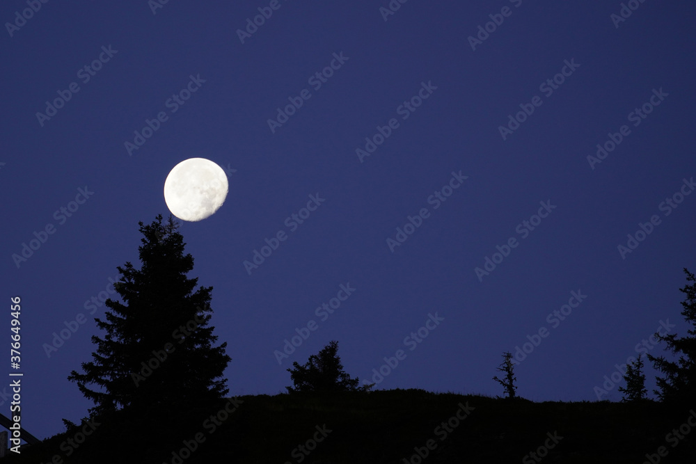 beautiful moon over the mountains with tree silhouettes beautiful moon over the mountains with tree silhouettes