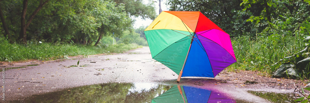 autumn landscape. rainbow umbrella under the rain near the puddle and reflection in the park. Autumn rainy weather long banner